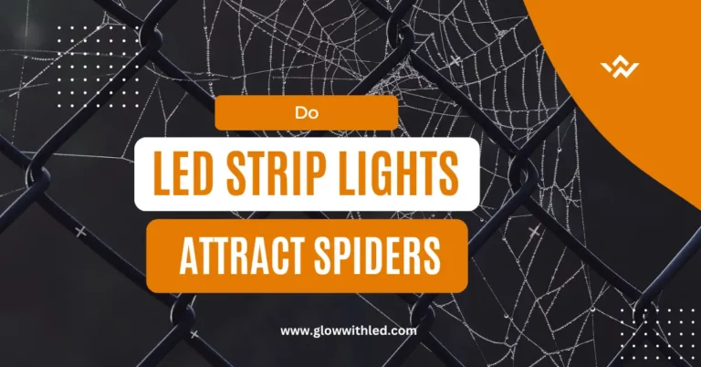 do led strip lights attract spider