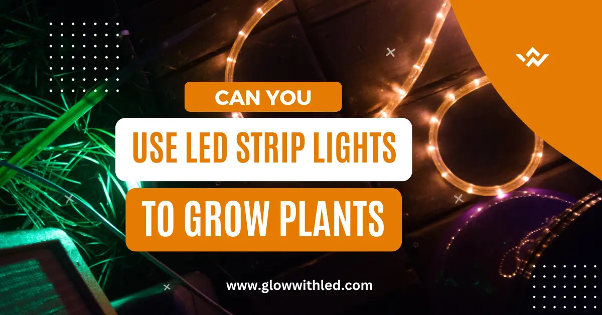 can you use led strip lights to grow plants