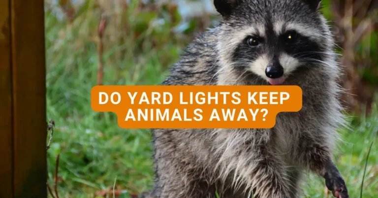 can-yard-lights-repel-animals